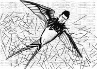 LANDRU : UN NOM D’OISEAU